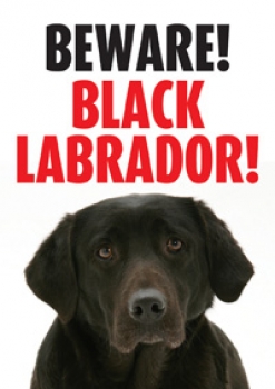 Warnschild Beware! Labrador schwarz