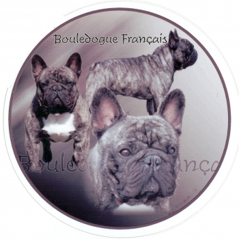 Aufkleber Französische Bulldogge 3 gestromt