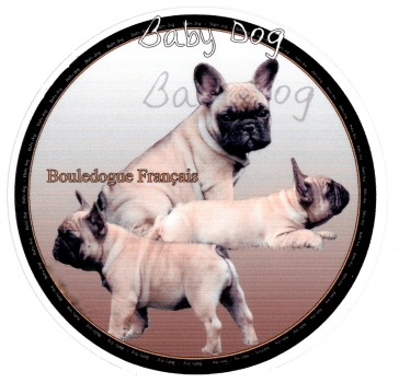 Aufkleber Französische Bulldogge 4 Welpen falb