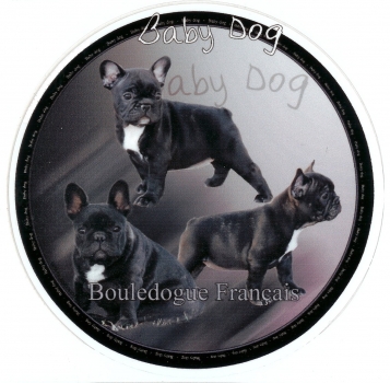 Aufkleber Französische Bulldogge 5 Welpen