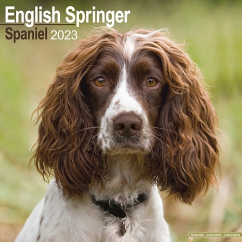 Kalender 2023 English Springer Spaniel (Euro)
