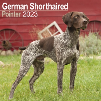 Kalender 2023 German shorthaired pointer