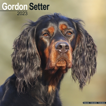 Kalender 2023 Gordon Setter