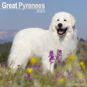 Kalender 2023 Pyrenäen Berghund