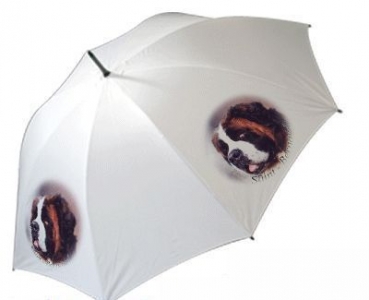 Regenschirm Motiv Bernhardiner 1