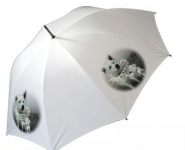 Regenschirm Motiv Canaan Dog / Kanaanhund