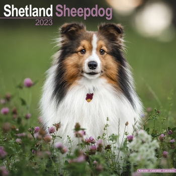 Kalender 2023 Shetland Sheepdog Sheltie