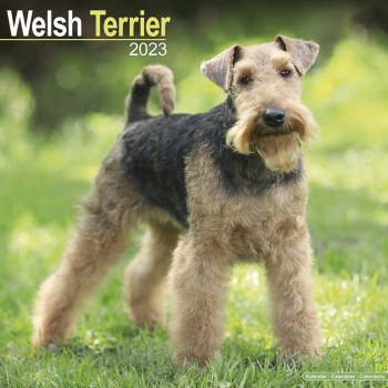 Kalender 2023 Welsh Terrier