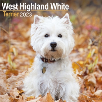 Kalender 2023 West Highland Terrier Westie