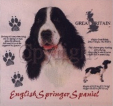 Motiv English Springer Spaniel 4