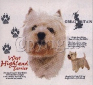 Motiv West Highland Terrier 4