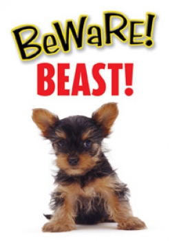 Warnschild Beware! Beast! Yorkshire Terrier