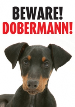 Warnschild Beware! Dobermann