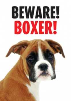 Warnschild Beware! Boxer Hund