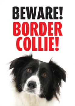Warnschild Beware! Border Collie