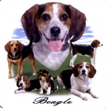 Motiv Beagle Gruppe