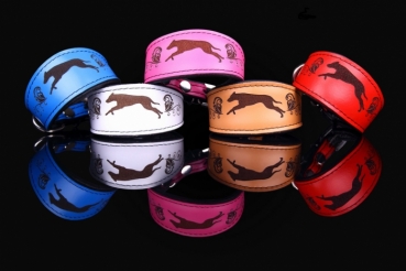 Halsband Windhund Neo Lederhalsband Whippet Greyhound Galgo Espanol Afghane