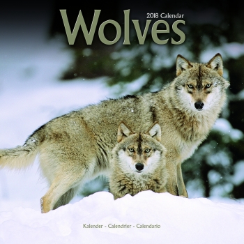 Kalender 2023 Wolf / Wölfe