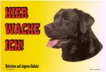 Warnschild Labrador Retriever schwarz