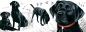 Preview: Tasse Motiv Labrador schwarz