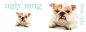 Preview: Tasse Motiv Englische Bulldogge