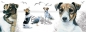 Preview: Tasse Motiv Jack Russell Terrier
