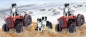 Preview: Tasse Motiv Border Collie Tractor Trials