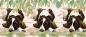 Preview: Tasse Motiv English Springer Spaniel Springtime