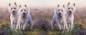 Preview: Tasse Motiv West Highland White Terrier Highland Heather
