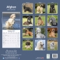 Preview: Kalender 2023 Afghane Windhund