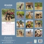 Preview: Kalender 2023 Airedale Terrier
