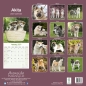 Preview: Kalender 2023 Akita