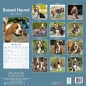 Preview: Kalender 2023 Basset Hound Hund