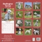 Preview: Kalender 2023 Bedlington Terrier