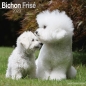 Preview: Kalender 2023 Bichon Frise