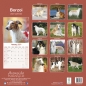 Preview: Kalender 2023 Borzoi Barsoi Russischer Windhund