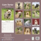 Preview: Kalender 2023 Cairn Terrier