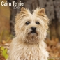 Preview: Kalender 2023 Cairn Terrier