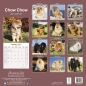 Preview: Kalender 2023 Chow Chow
