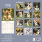 Preview: Kalender 2023 Corgi