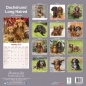 Preview: Kalender 2023 Dackel Langhaar Dachshund Teckel