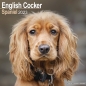 Preview: Kalender 2023 English Cocker Spaniel