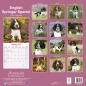 Preview: Kalender 2023 English Springer Spaniel (Euro)