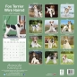 Preview: Kalender 2023 Fox Terrier