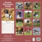 Preview: Kalender 2023 German shorthaired pointer