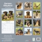 Preview: Kalender 2023 Deutscher Schäferhund