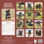 Preview: Kalender 2023 Deutscher Schäferhund Welpen