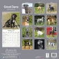 Preview: Kalender 2023 Deutsche Dogge unkupiert (Euro)