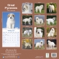 Preview: Kalender 2023 Pyrenäen Berghund