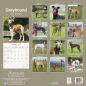 Preview: Kalender 2023 Greyhound Windhund